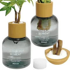 ⭐️新品未使用　水耕栽培キット Amazon｜リビングファーム ミニ水耕菜園キットBM ベビーレタス