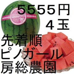 ５５５５円・４玉・第２弾・数量限定・ピノガール「小玉スイカランキング第１位」