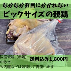 国産親鶏】まるまる一羽 親鶏中抜き（赤鶏） - メルカリ