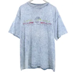 HARLEY DAVIDSON ハーレーダビッドソン プリント 半袖 Tシャツ L ブルー系 メンズ 古着