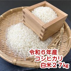 ⚫︎令和6年産⚫︎送料込み 長野県産コシヒカリお米30キロ希望者