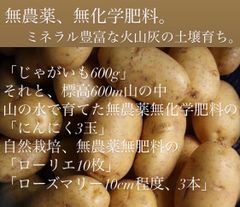 無農薬　無肥料　無化学肥料　じゃがいも　にんにく　ローリエ　ローズマリー　ハーブ
