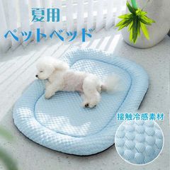 Item thumbnail for item 2b0a991f-7de6-4ac8-a9b8-1099c455968e