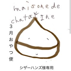 シザーハンズ様専用　おやつ便　シフォンケーキサンド　チーズケーキ　テリーヌ