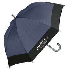 Item thumbnail for item 40a88c25-24eb-4e45-ac8d-6ef5a50ba8eb