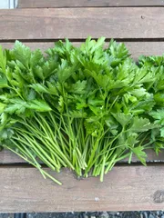 2025年最新】PARSLEYの人気アイテム - メルカリ