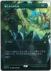 2025年最新】壌土からの生命 foilの人気アイテム - メルカリ