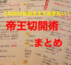 助産学生　助産師　実習ポケットノート　看護学生　看護師　国家試験　対策　実習 助学の受験用に作ったミニノートですが、色々と活躍してくれて