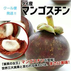 タイ産「マンゴスチン」果物の女王　5個入り × 4パック　(クール便発送)