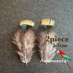 ◾️⭐︎【SS2】2枚セット 羽根 フェザー 鳥 パーツ 材料 アクセサリー 素材