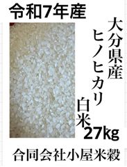 千葉県北西部産 令和7年度産 コシヒカリ 精米済み 約27kg - メルカリ