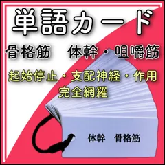 筋肉（骨格筋）　体幹・咀嚼筋　単語カードのサムネイル