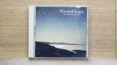 浜田省吾 Wasted Tears レコード 浜田 省吾 / WASTED TEARS（中古レコード） - BORDERLINE RECORDS