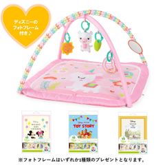 【新品訳未使用】ディドリームブルームス・アクティビティジム+フォトフレームギフト