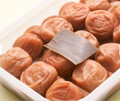 本場 紀州南高梅 みなべ産 まぼろしのこんぶ梅 800g (A級品)