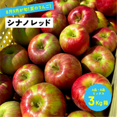 8月12日から8月31日発送 酸っぱい 夏りんご！8月収穫りんご「シナノレッド3キロ箱A品B品」  農林水産大臣賞 長野県産 安曇野 信州産 産地直送