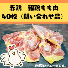 【お問合せ品】親鶏もも肉40枚セット（1枚パック×40ｐ）