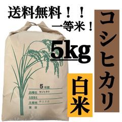 白米　5kg コシヒカリ　新米　埼玉県産　令和5年産　送料無料　米　5キロ