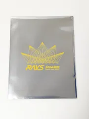 新品未開封　Snow Man 岩本照 Dome Tour 2024 RAYS チケット風カード