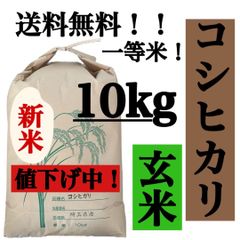 玄米　10kg コシヒカリ　新米　埼玉県産　令和4年産　送料無料　米　10キロ