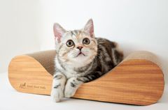 猫用品　子猫用品 爪とぎ  スクラッチャー ガリガリソファスクラッチャーミニ