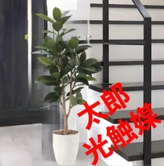 光触媒　人工観葉植物　ウォールグリーン　フェイクグリーン　ゴムの木1.25m 光触媒 人工観葉植物 ウォールグリーン フェイクグリーン ゴムの木1.25m