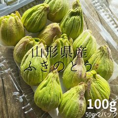 天然 きのこ ナラタケ ならたけ 楢茸 もだし 国産 塩蔵 塩漬け