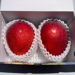 沖縄県産マンゴー 2玉