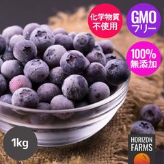 無添加 冷凍 ブルーベリー チリ産 化学物質不使用 (1kg)