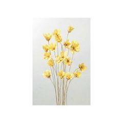 Item thumbnail for item f27ff4bc-a742-4e66-8af8-3f5e4f6dc5e7