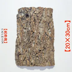 2025年最新】コルク樹皮 ビカクシダの人気アイテム - メルカリ