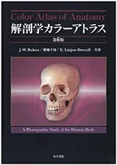 解剖学カラーアトラス　新品未使用 解剖学カラーアトラス 第4版 中古本・書籍 | ブックオフ公式