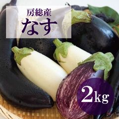 農薬不使用 埼玉県産 朝採れ 筑陽茄子 ナス 箱込み 2キロ - メルカリ