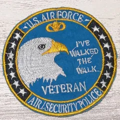 HA45 HAWK 鷲 鷹 ベトナム 戦争 ワッペン 動物 US AIR FORCE 青 刺繍 おしゃれ リメイク アメリカ軍 アメカジ