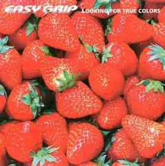 【中古】邦楽CD EASY GRIP / ルッキング・フォー・トゥルー・カラーズ(廃盤)