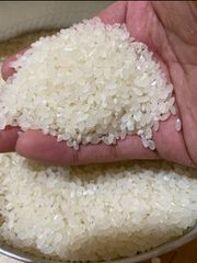 お米　令和4年度産❗️青森県産　最高峰ブランド米「青天の霹靂」24キロ玄米