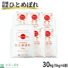 スカイライン！ひとめぼれ30kg！ 2025年最新】ひとめぼれ 30kgの人気アイテム - メルカリ