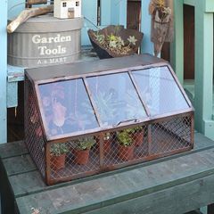 ガーデンガラスコンテナ コレクションボックス 多肉植物 霜よけ カバー 雑貨収納