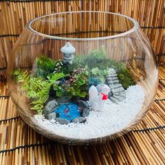 苔テラリウム　苔庭　和風　ミニチュアガーデン　癒し　リラックス