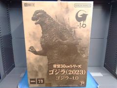 2体セット］東宝30cmシリーズ ゴジラ(2023)少年リック限定版&通常版
