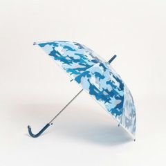 Item thumbnail for item 695fb01c-34fe-4276-bccc-40fab36aff37