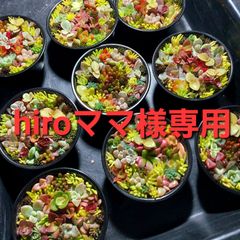 hiroママ様専用