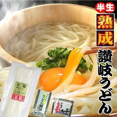 20時間熟成 半生 並麺 讃岐うどん つゆ付きセット 便利な個包装 750g 送料無料　A36