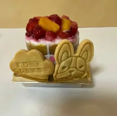 犬用クリスマスケーキ2号サイズのサムネイル