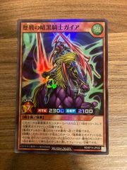 歴戦の暗黒騎士ガイア　スーパー