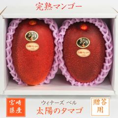 マンゴー 【ウィナーズベル】 太陽のタマゴ 糖度15度以上 贈答用 4L 2個 宮崎県宮崎市 《5/上～5/中より出荷》