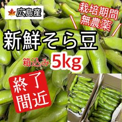 【訳あり】無農薬　新鮮そら豆 5キロ 広島産　お徳用　お得用　野菜セット