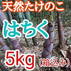 長野県産　たけのこ　淡竹　破竹　5kg箱込み　天然無農薬