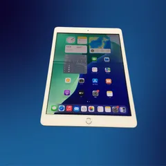 ジャンク iPhone iPad 4点セット ジャンク品 iPad mini4 64GB Wi-Fi＋Cellular 箱付き