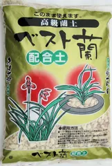 2025年最新】韓国春蘭の人気アイテム - メルカリ